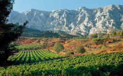 Mi Mi en Provence Winery Image