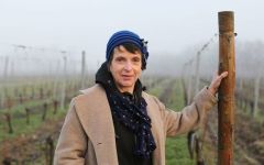 Chateau Fonplegade Corinne Comme, Biodynamic Consultant Winery Image