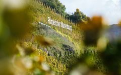 Weingut Clemens Busch Pündericher Marienburg Winery Image