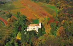 Tenuta San Leonardo Autumn in Tenuta San Leonardo Winery Image