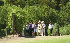 Bouza Visitors at the Bouza Winery Vineyards Winery Image