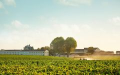 Chateau Mouton Rothschild Château Mouton Rothschild Winery Image