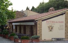 Fattoria dei Barbi  Winery Image