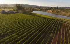 Montinore Estate Overhead view of Montinore Estate Winery Image