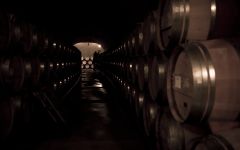 Faust Faust Barrel Room Winery Image