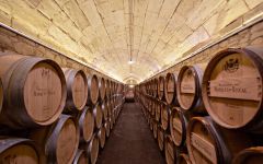 Marques de Riscal Wine Barrels Winery Image