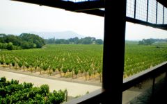 Dominus Estate Napanook Vineyard Winery Image