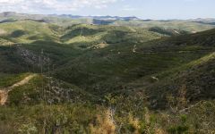 Can Rafols dels Caus Wilds of the Massis del Garraf  Winery Image