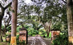 Hampden Estate Winery Image
