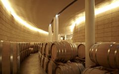 Poggio San Polo Winery Image