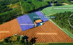 Granbazan The Layout Winery Image