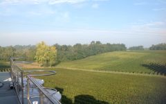 Chateau Jalousie Beaulieu Winery Image