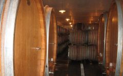 Tenuta delle Terre Nere Tenuta delle Terre Nere Barrel Room Winery Image