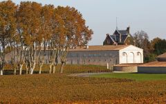 Chateau Mouton Rothschild The Mouton Style Winery Image