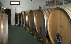 Milos  Winery Image