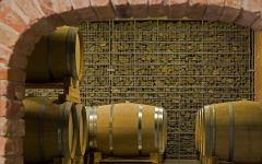 Borgo del Tiglio Interior of Wine Cellar Winery Image