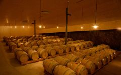 Alfredo Arribas Alfredo Arribas Barrel Ageing Room Winery Image