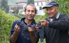 Paolo Conterno In the Paolo Conterno Vineyards Winery Image