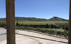 Siglo Vineyard View Winery Image