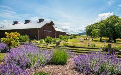 Image of winery
