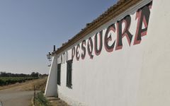 Pesquera Tinto Pesquera Winery Entrance Winery Image