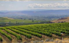 J. Bookwalter Winery Image