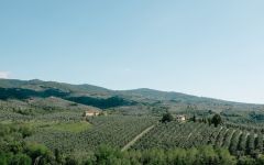 Cantine Leonardo da Vinci  Winery Image