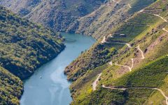 Bodegas Rectoral de Amandi Vineyard Winery Image