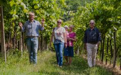 Davide Vignato In the Davide Vignato Vineyards Winery Image