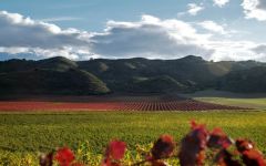 Bodegas Castillo de Monjardin  Winery Image