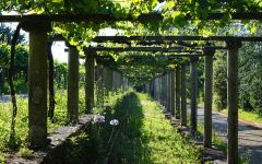 Burgans Burgans Pergola Winery Image