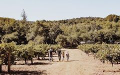 I. Brand & Family Wines Ian Brand and Family Winery Image