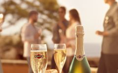 Martini & Rossi Winery Image