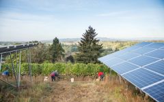 Chehalem Solar Panels Winery Image