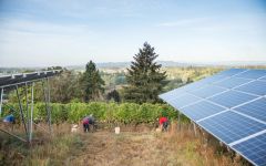 Chehalem Solar Panels Winery Image