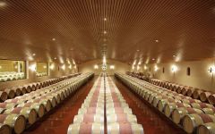 Chateau de Chantegrive  Winery Image