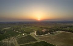 Tenuta di Biserno Aerial Sunset View of Tenuta di Biserno Winery Image