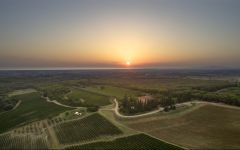 Tenuta di Biserno  Aerial Sunset View of Tenuta di Biserno Winery Image