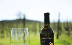 Leviathan Leviathan Tasting in the Vineyard Winery Image