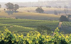 Paringa Estate Winery Image