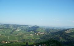 Casetta  Winery Image