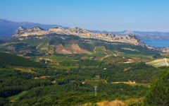 Domaine Antoine Arena Antoine Arena Vineyard aerial view Winery Image