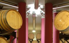 Salcheto Salcheto Wine Barrels Winery Image