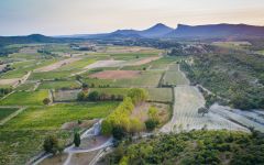 Chateau de Lancyre Winery Image