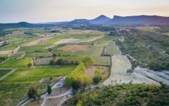 Chateau de Lancyre  Winery Image