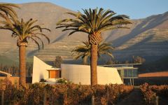 Errazuriz Tasting Room at Sunset Winery Image