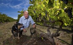 Kay Brothers Colin Kay with Sam in Block 6 Winery Image