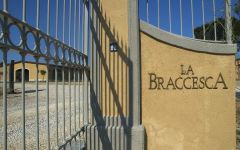 La Braccesca Winery Image