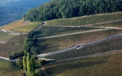 Domaine Antonin Guyon Corton Hill Winery Image