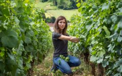 Paul Jaboulet Aine Winemaker & Owner - Caroline Frey Winery Image